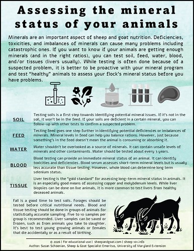 55208692797_Assessing mineral status