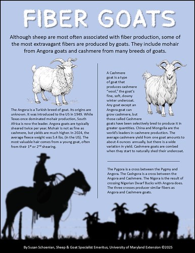 Fiber_goat